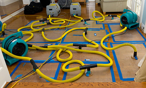 Professional Basement Flood Cleanup technician working in San Martin, CA